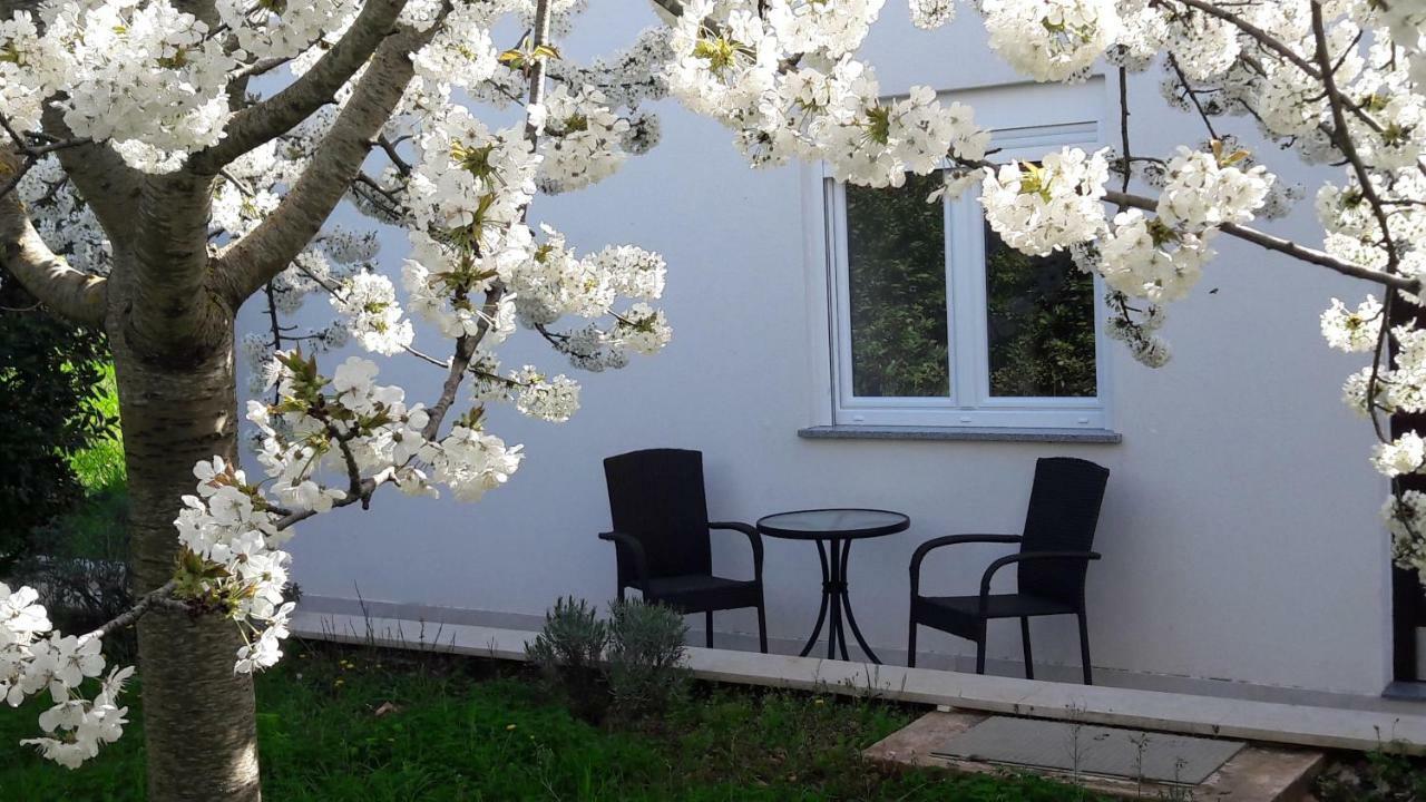 Apartment Greeny Galižana Extérieur photo
